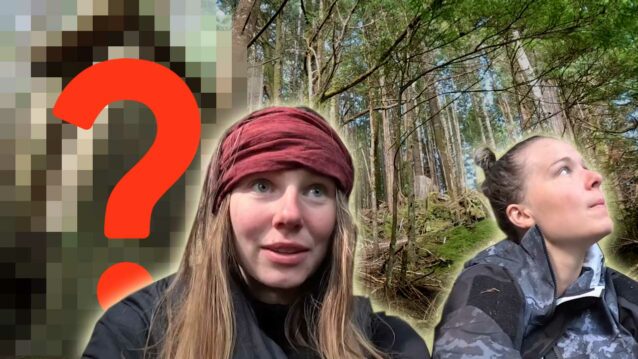  7 vs. Wild Staffel 3: Affe und Hannah machen unglaubliche Entdeckung Illustration 