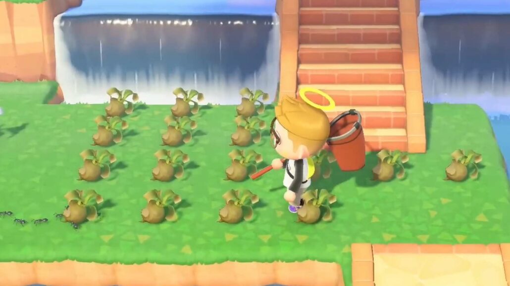Alle Fische in Animal Crossing New Horizons Preis, Uhrzeit und Fundort
