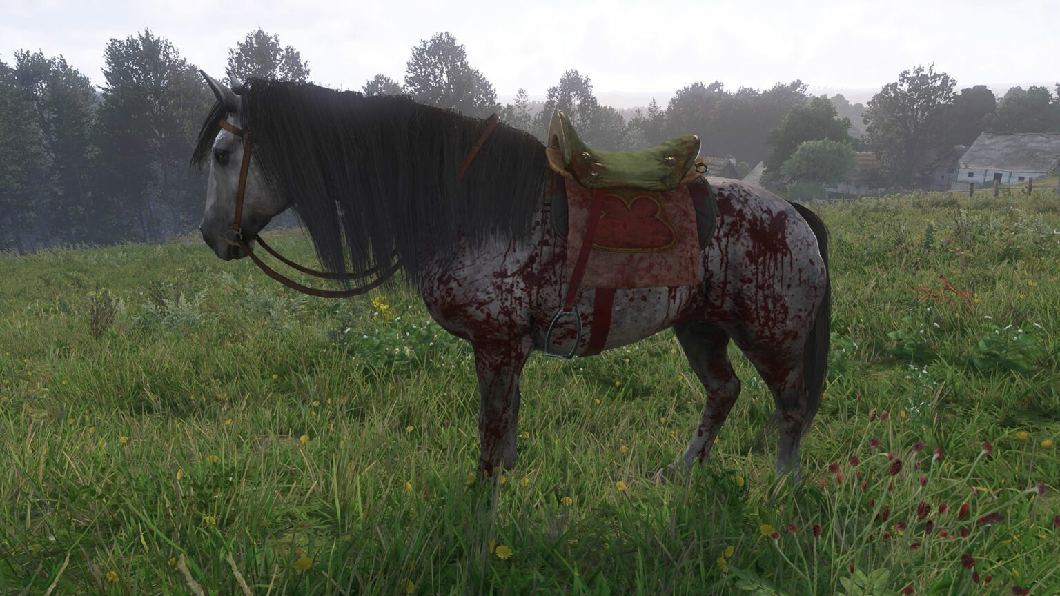 Kingdom Come Deliverance Auf Der Flucht Pferd Kingdom Come Deliverance 2: Wo bekomme ich mein erstes Pferd und wie